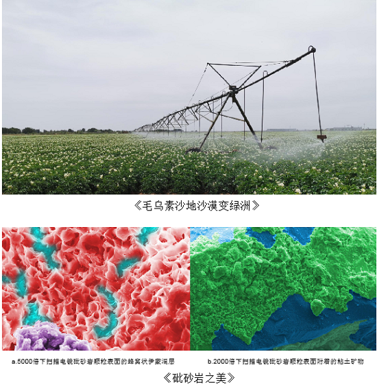 mg不朽情缘(中国)官方网站