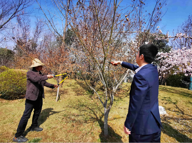 地建研究院组织开展植树护绿活动 -  mg不朽情缘