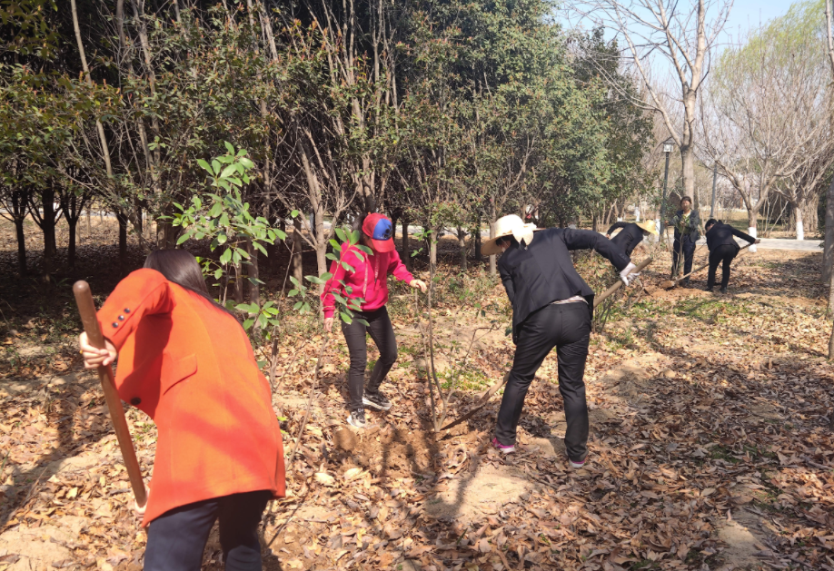 地建研究院组织开展植树护绿活动 -  mg不朽情缘