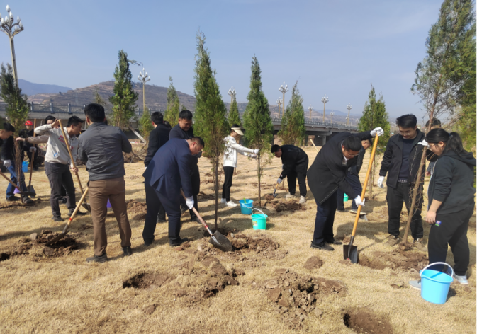地建关天公司联合光泰咨询公司开展植树活动 -  mg不朽情缘