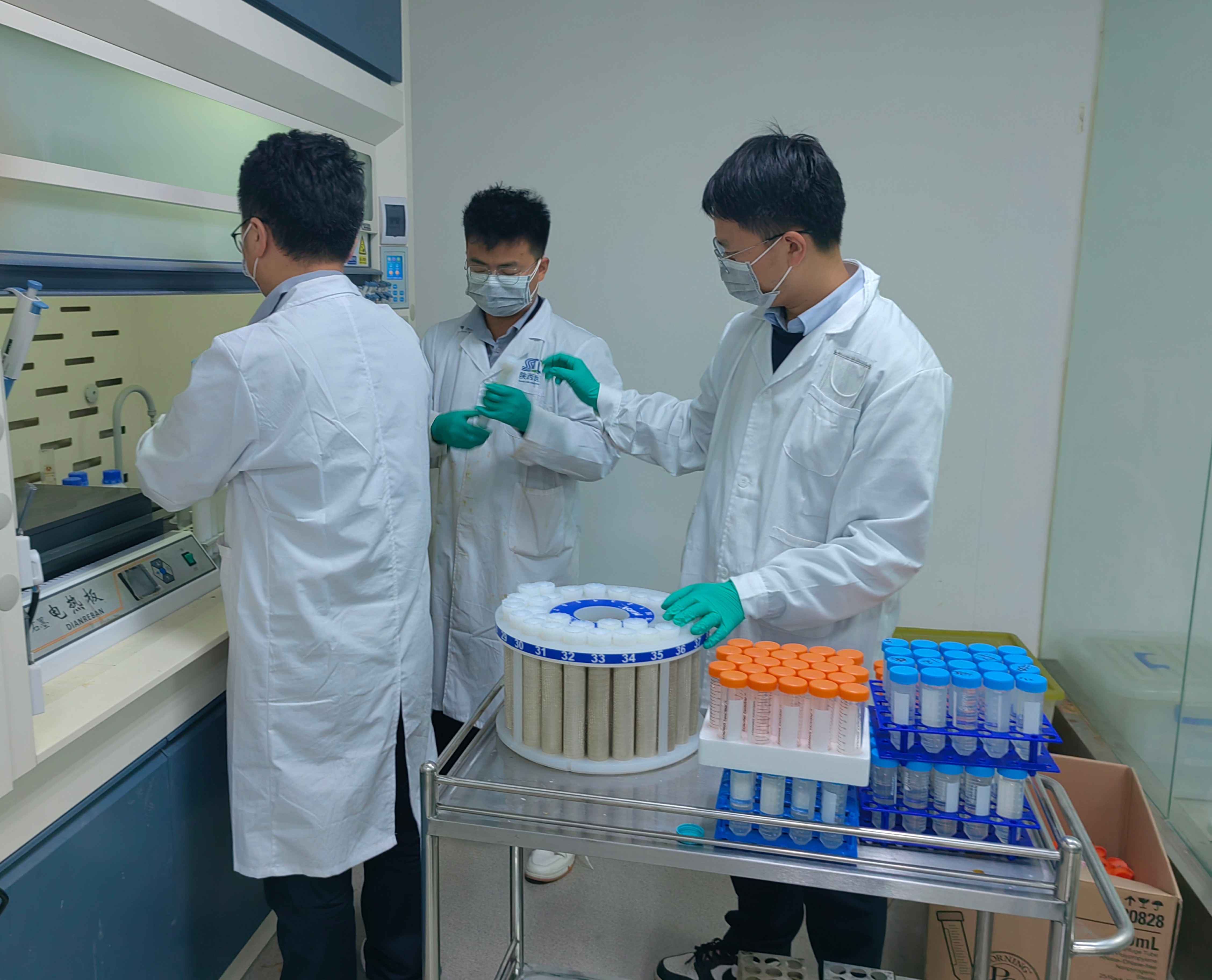 藏粮于地 藏粮于技 mg不朽情缘