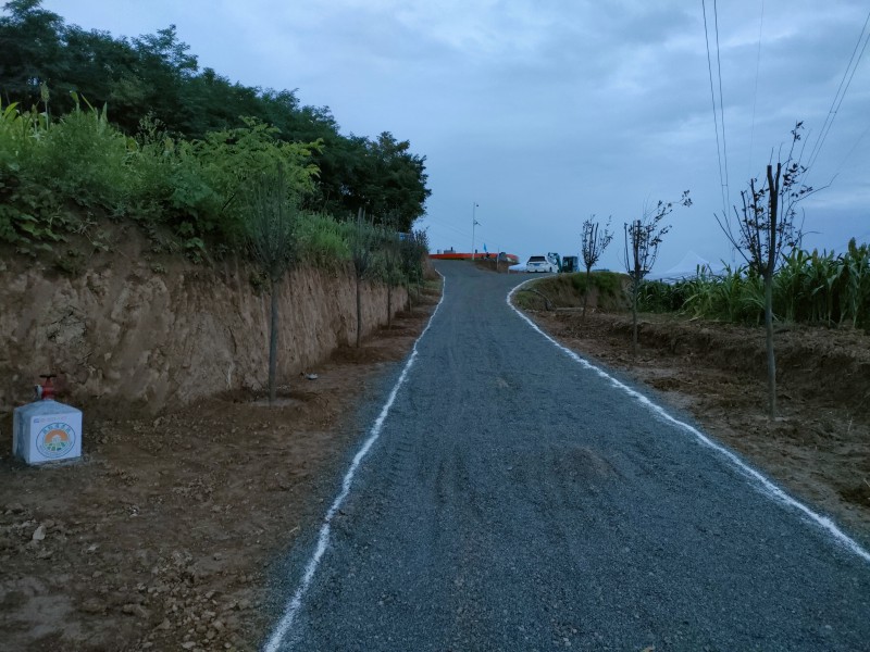 藏粮于地 藏粮于技 mg不朽情缘